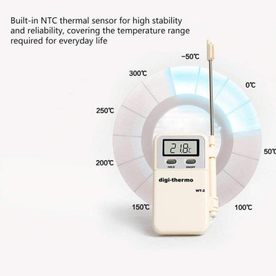 Hand Held Digital Thermometer Wt-2